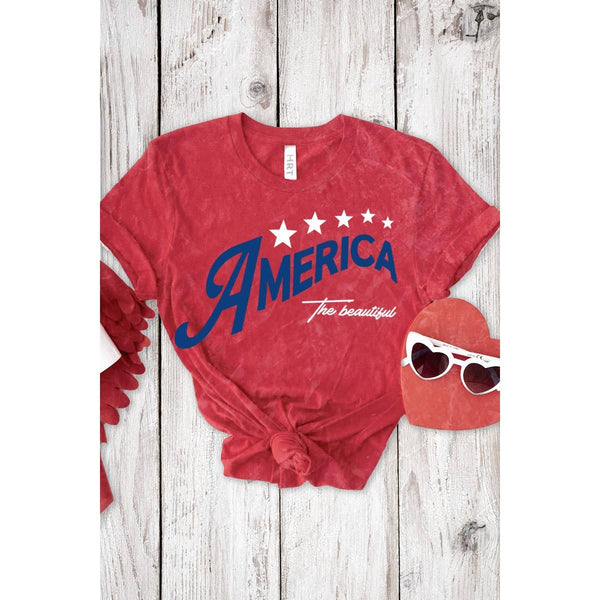 THE BEAUTIFUL AMERICA MINERAL GRAPHIC TEE: Mineral Red / L